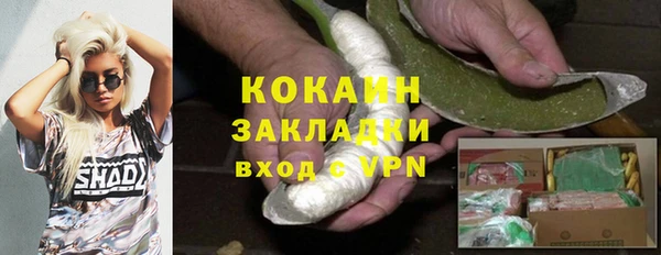 дмт Горно-Алтайск