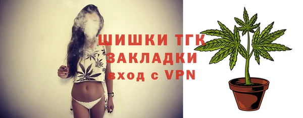 тгк Абаза