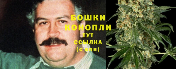ECSTASY Горнозаводск