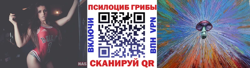 Псилоцибиновые грибы Psilocybe  Покачи 