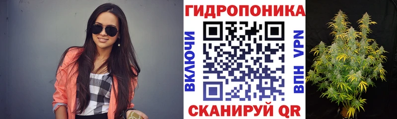 Бошки Шишки VHQ Покачи